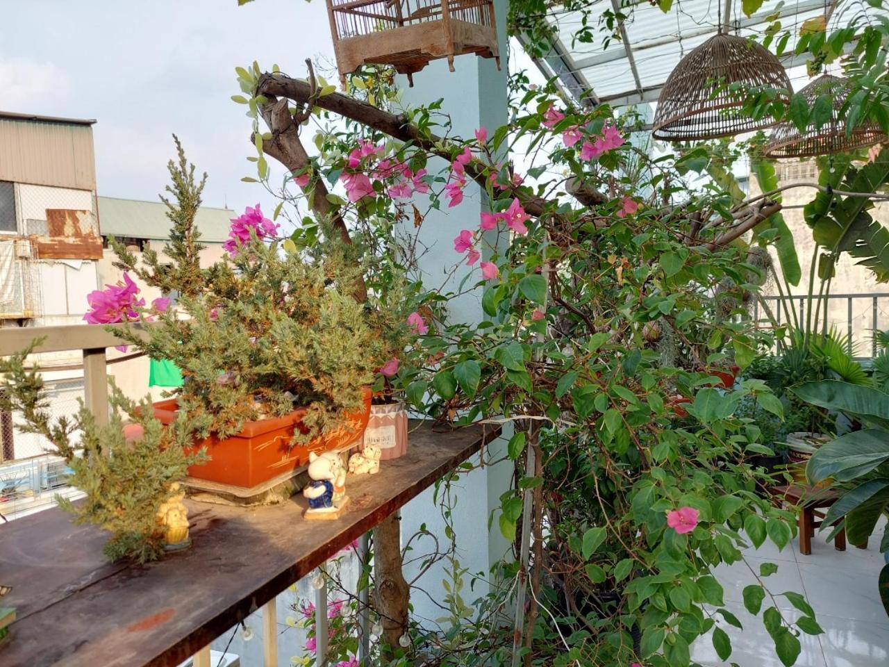 Alleyhomestay 2 Hanoi Buitenkant foto